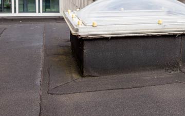 disadvantages of Sealand flat roofs